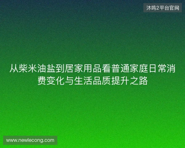 从柴米油盐到居家用品看普通家庭日常消费变化与生活品质提升之路